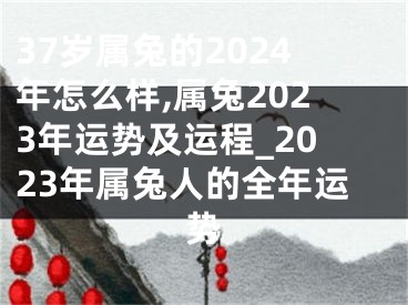 37岁属兔的2024年怎么样,属兔2023年运势及运程_2023年属兔人的全年运势