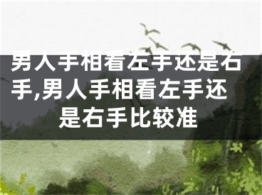 男人手相看左手还是右手,男人手相看左手还是右手比较准