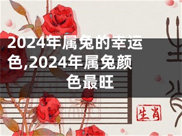 2024年属兔的幸运色,2024年属兔颜色最旺