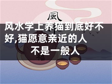 风水学上养猫到底好不好,猫愿意亲近的人 不是一般人