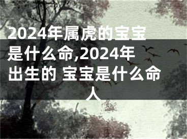 2024年属虎的宝宝是什么命,2024年出生的 宝宝是什么命人