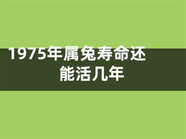 1975年属兔寿命还能活几年