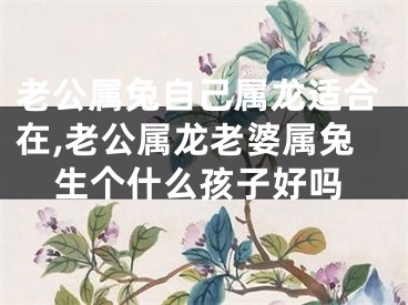 老公属兔自己属龙适合在,老公属龙老婆属兔生个什么孩子好吗