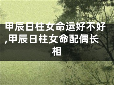 甲辰日柱女命运好不好,甲辰日柱女命配偶长相
