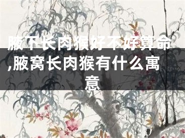 腋下长肉猴好不好算命,腋窝长肉猴有什么寓意