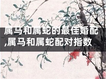 属马和属蛇的最佳婚配,属马和属蛇配对指数