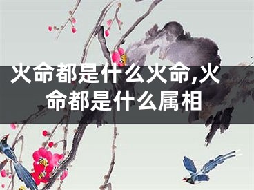 火命都是什么火命,火命都是什么属相