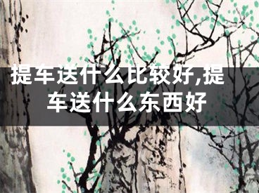 提车送什么比较好,提车送什么东西好