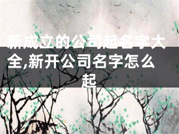 新成立的公司起名字大全,新开公司名字怎么起