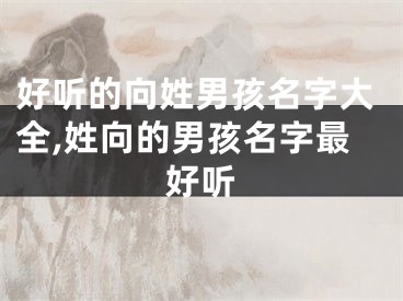 好听的向姓男孩名字大全,姓向的男孩名字最好听