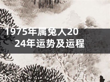 1975年属兔人2024年运势及运程