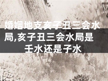 婚姻地支亥子丑三会水局,亥子丑三会水局是壬水还是子水
