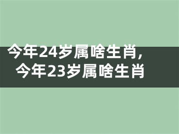 今年24岁属啥生肖,今年23岁属啥生肖
