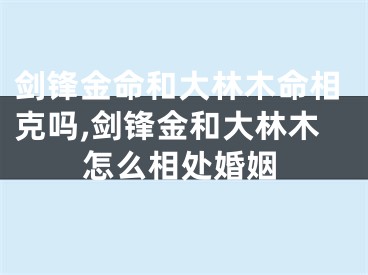 剑锋金命和大林木命相克吗,剑锋金和大林木怎么相处婚姻
