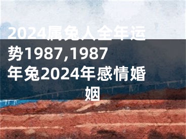 2024属兔人全年运势1987,1987年兔2024年感情婚姻