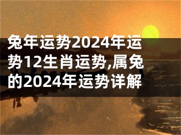兔年运势2024年运势12生肖运势,属兔的2024年运势详解