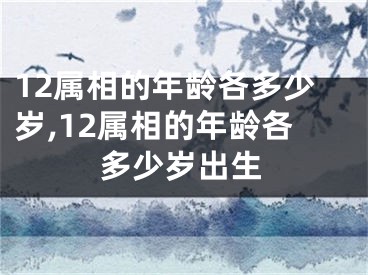 12属相的年龄各多少岁,12属相的年龄各多少岁出生