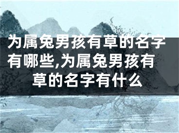为属兔男孩有草的名字有哪些,为属兔男孩有草的名字有什么