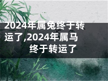 2024年属兔终于转运了,2024年属马终于转运了