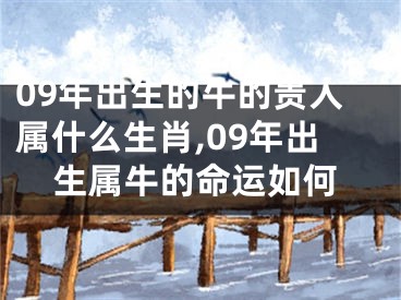 09年出生的牛的贵人属什么生肖,09年出生属牛的命运如何