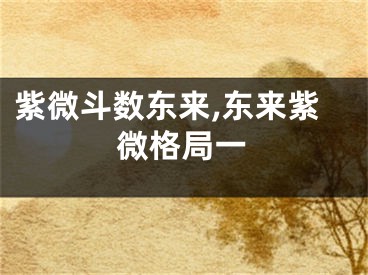 紫微斗数东来,东来紫微格局一