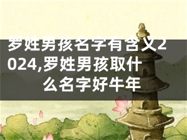罗姓男孩名字有含义2024,罗姓男孩取什么名字好牛年