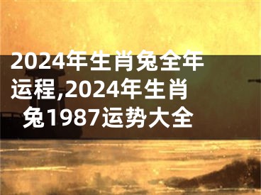 2024年生肖兔全年运程,2024年生肖兔1987运势大全