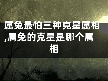 属兔最怕三种克星属相,属兔的克星是哪个属相