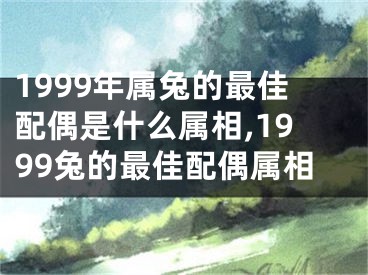 1999年属兔的最佳配偶是什么属相,1999兔的最佳配偶属相