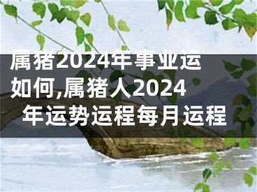 属猪2024年事业运如何,属猪人2024年运势运程每月运程