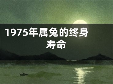 1975年属兔的终身寿命