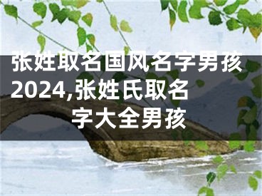 张姓取名国风名字男孩2024,张姓氏取名字大全男孩
