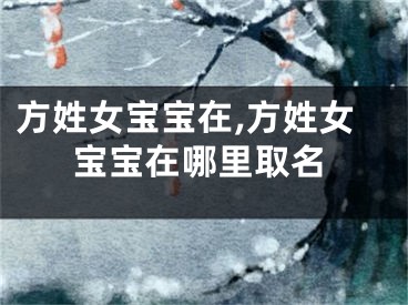 方姓女宝宝在,方姓女宝宝在哪里取名