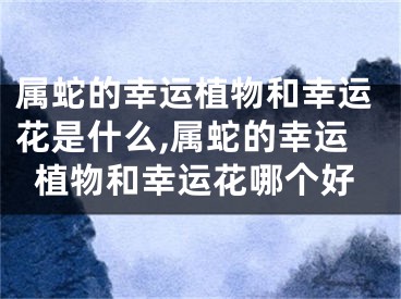 属蛇的幸运植物和幸运花是什么,属蛇的幸运植物和幸运花哪个好