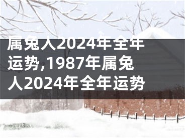 属兔人2024年全年运势,1987年属兔人2024年全年运势