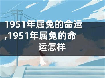 1951年属兔的命运,1951年属兔的命运怎样