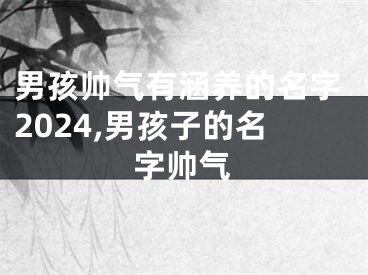 男孩帅气有涵养的名字2024,男孩子的名字帅气