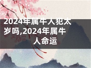 2024年属牛人犯太岁吗,2024年属牛人命运