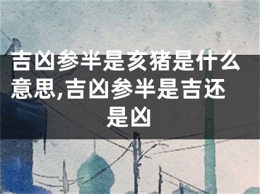 吉凶参半是亥猪是什么意思,吉凶参半是吉还是凶