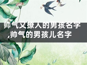 帅气又撩人的男孩名字,帅气的男孩儿名字
