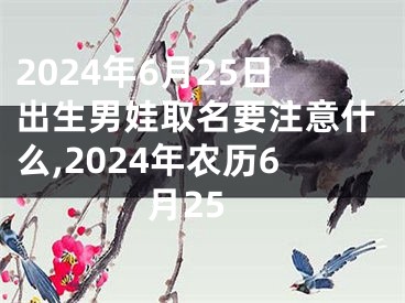 2024年6月25日出生男娃取名要注意什么,2024年农历6月25