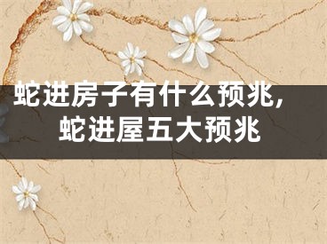 蛇进房子有什么预兆,蛇进屋五大预兆