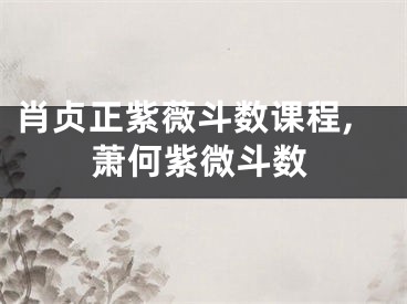 肖贞正紫薇斗数课程,萧何紫微斗数