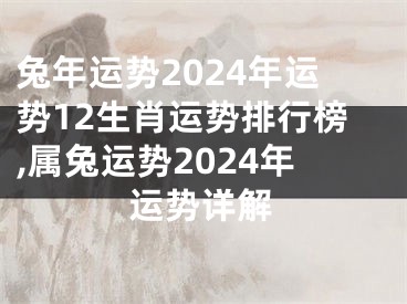 兔年运势2024年运势12生肖运势排行榜,属兔运势2024年运势详解