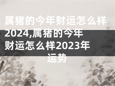 属猪的今年财运怎么样2024,属猪的今年财运怎么样2023年运势