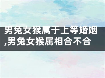 男兔女猴属于上等婚姻,男兔女猴属相合不合