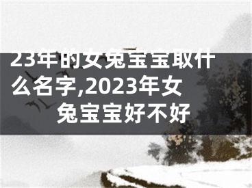 23年的女兔宝宝取什么名字,2023年女兔宝宝好不好