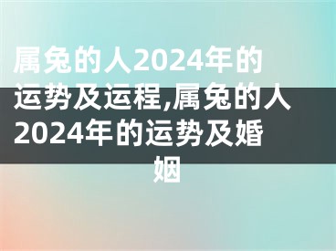 属兔的人2024年的运势及运程,属兔的人2024年的运势及婚姻