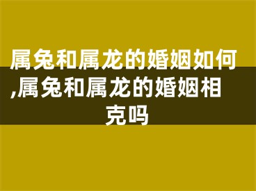 属兔和属龙的婚姻如何,属兔和属龙的婚姻相克吗