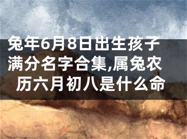 兔年6月8日出生孩子满分名字合集,属兔农历六月初八是什么命